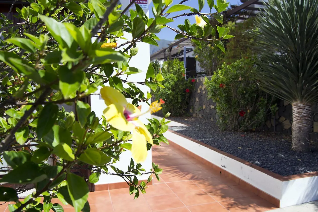 アパート Dulce Valle Villas And Spa エル・パソ
